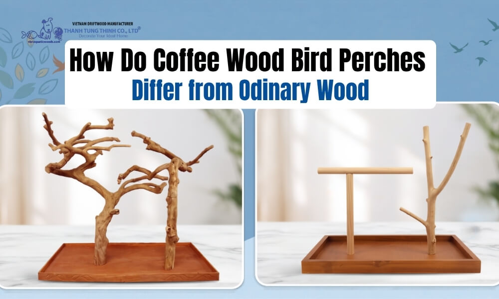 how do coffee wood bird perches differ from ordinary wood in design and structure