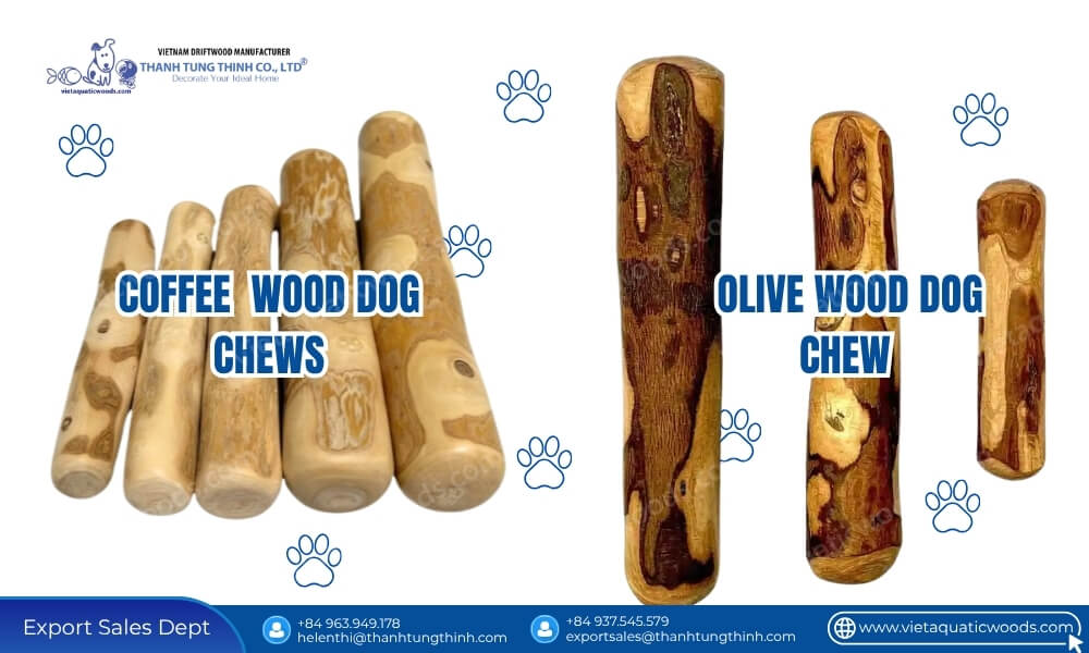 Is Coffee Wood Better Than Olive Wood for Dogs What Wholesalers Should Know