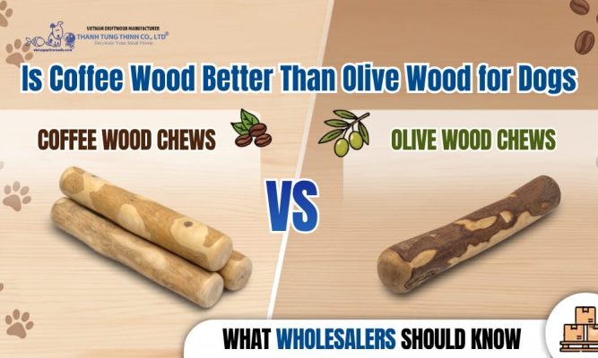 Is Coffee Wood Better Than Olive Wood for Dogs What Wholesalers Should Know