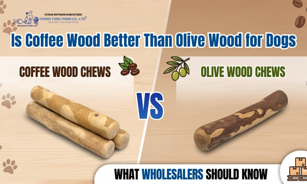Is Coffee Wood Better Than Olive Wood for Dogs What Wholesalers Should Know