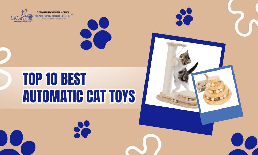 Top 10 Best Automatic Cat Toys