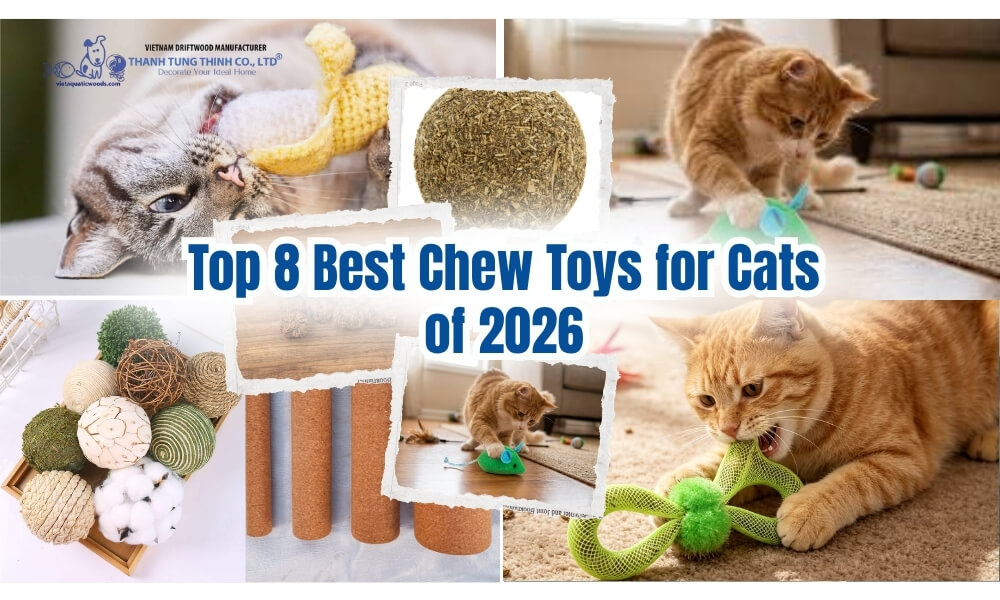 Top 8 Best Chew Toys for Cats of 2026 Reviewed & Graded by Expert