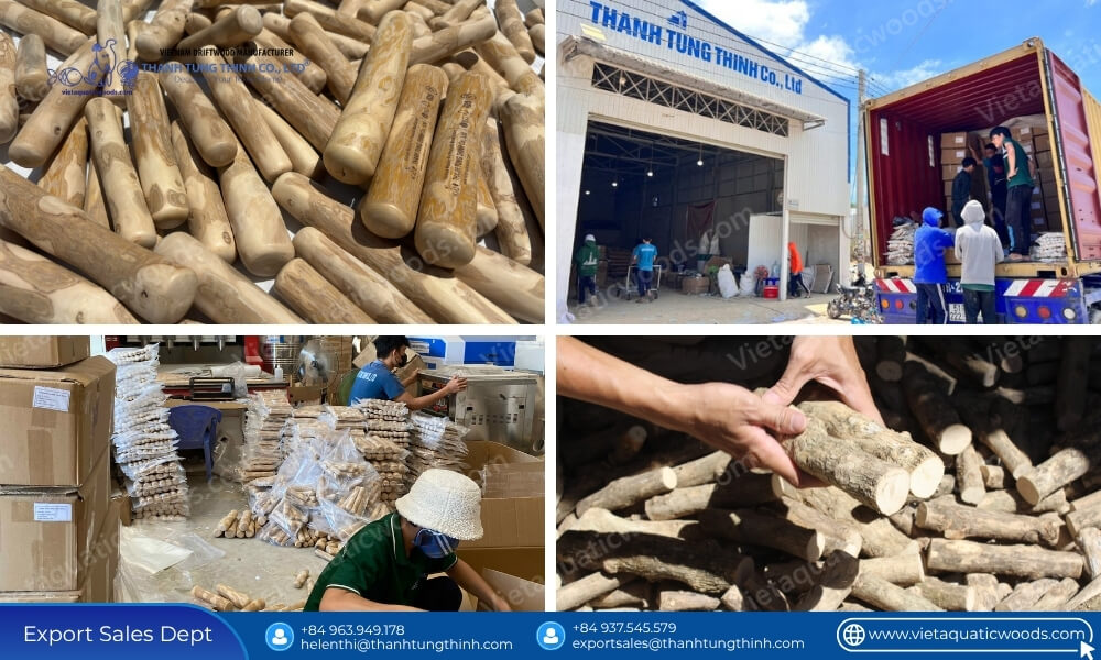 What Is Coffee Wood Dog Chew? Top Facts Every Buyer Should Know to Avoid Risks