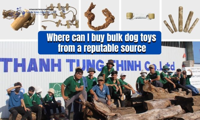 Team at Thanh Tung Thinh factory, a premier source for bulk dog toys