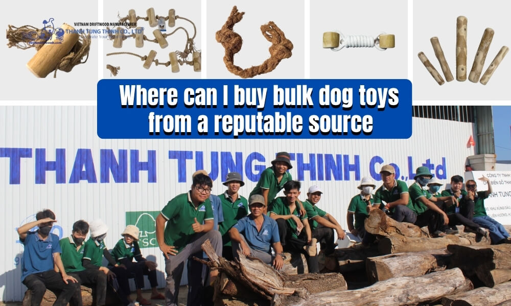 Team at Thanh Tung Thinh factory, a premier source for bulk dog toys