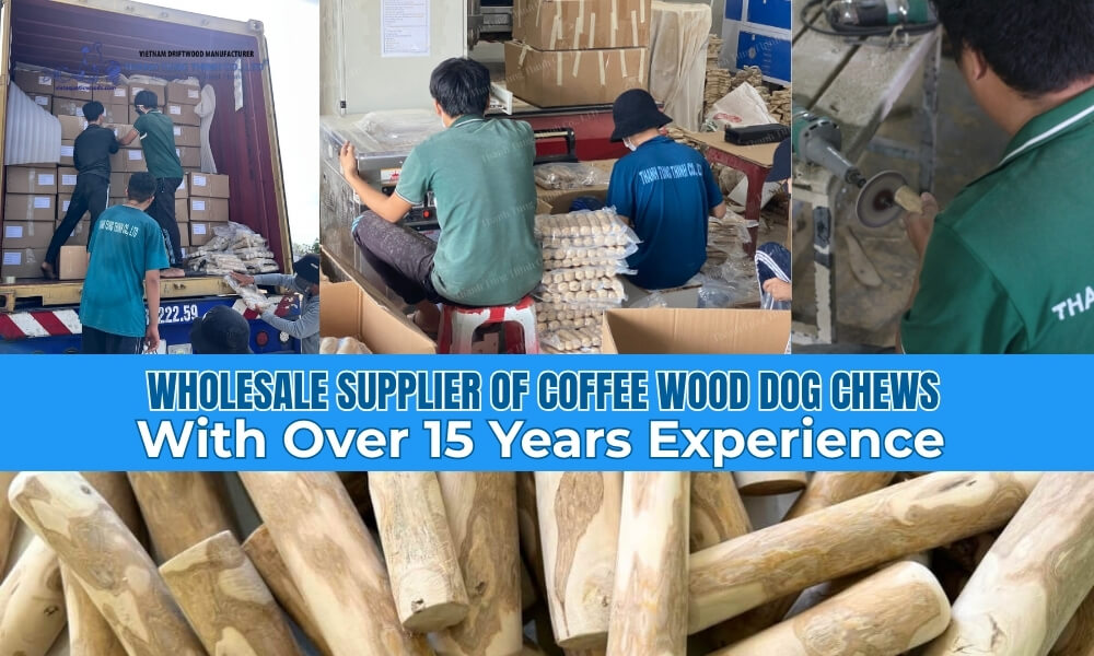 factory workers processing orders at a wholesale supplier of coffee wood chew in vietnam