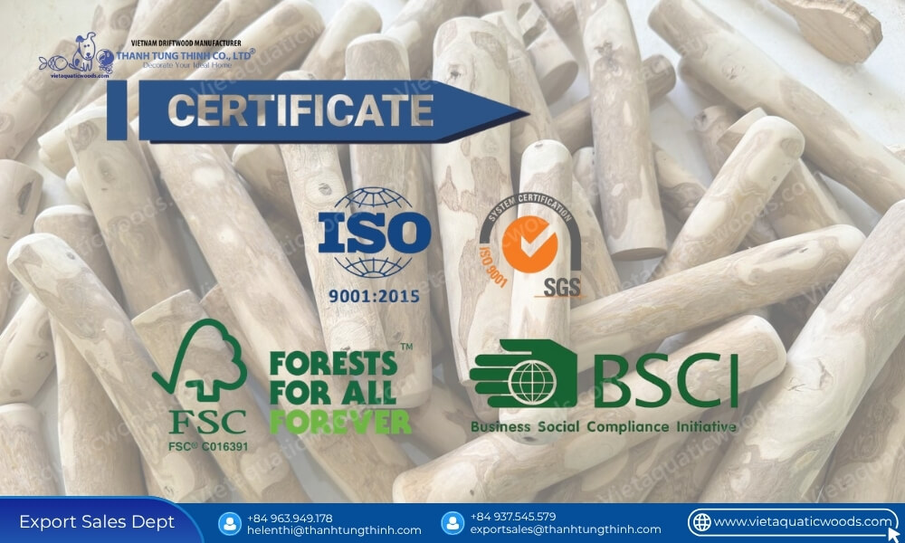 international quality standards certified for a wholesale supplier of coffee wood chew in vietnam